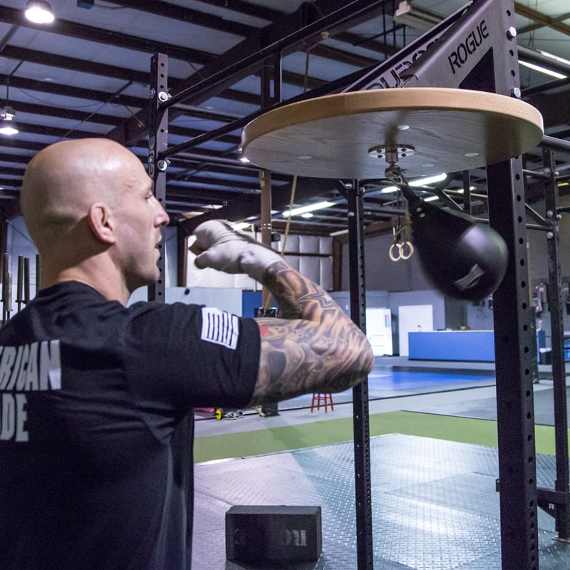 Rogue fitness punching bag store
